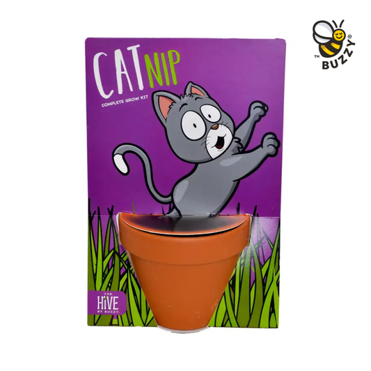 Whimsical Cat Nip Grow Kit – Indoor Plant Gift Set