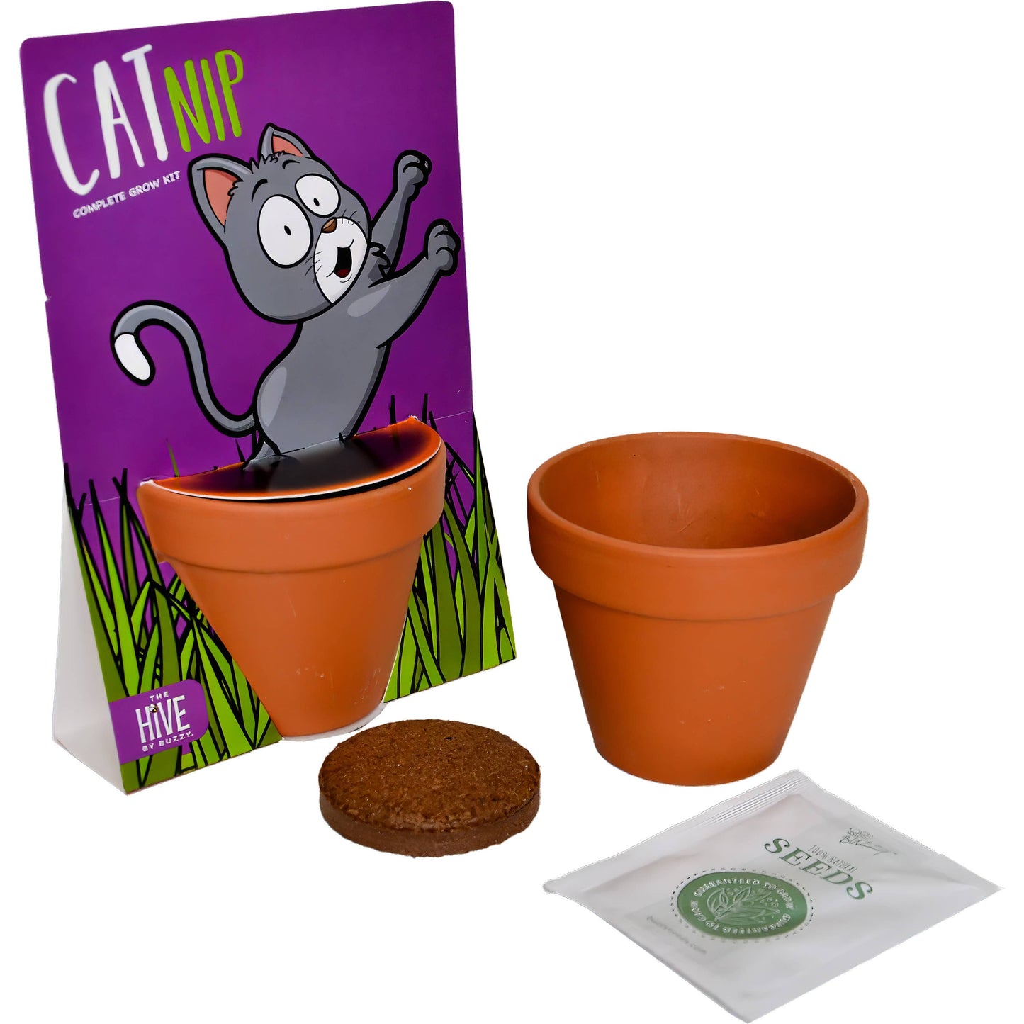 Whimsical Cat Nip Grow Kit – Indoor Plant Gift Set