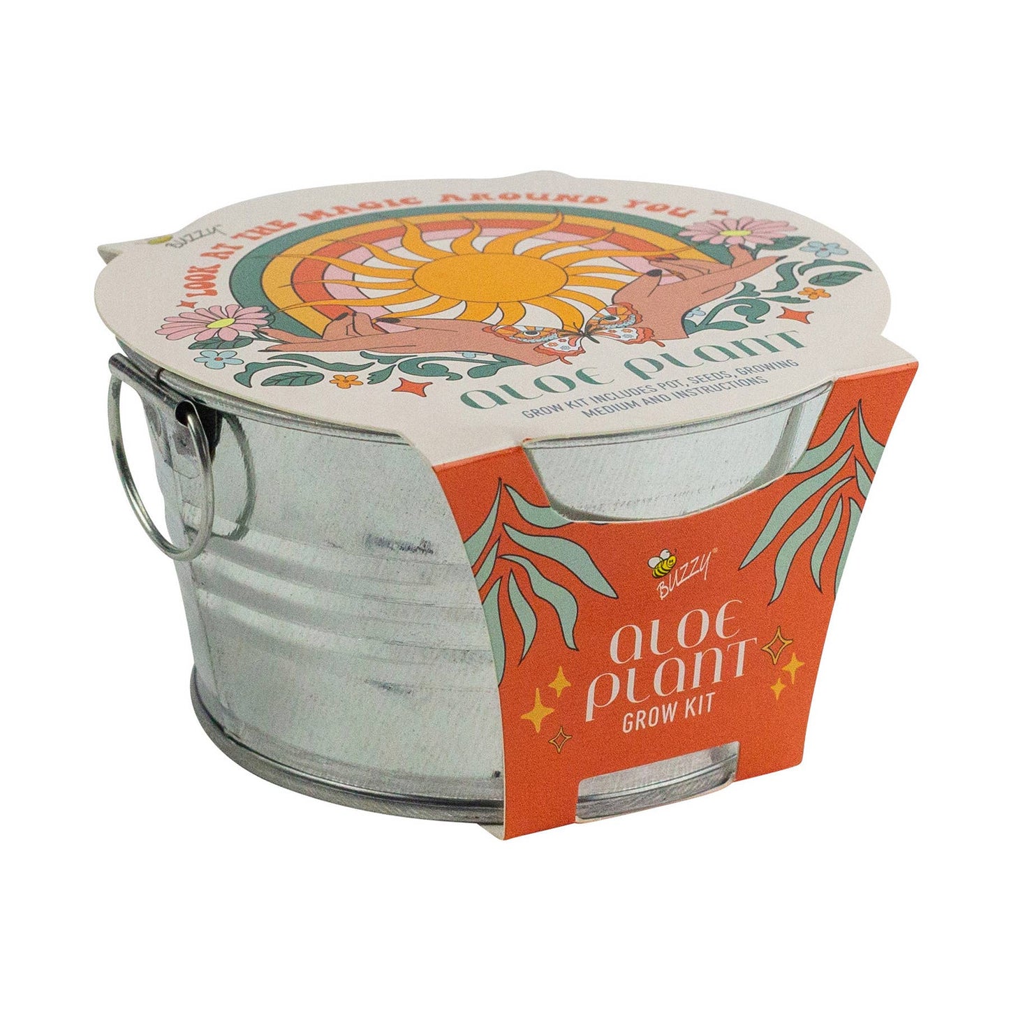 Mini Galvanized Basin Aloe Grow Kit – Indoor Plant Gift