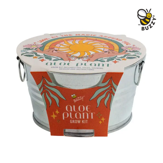 Mini Galvanized Basin Aloe Grow Kit – Indoor Plant Gift