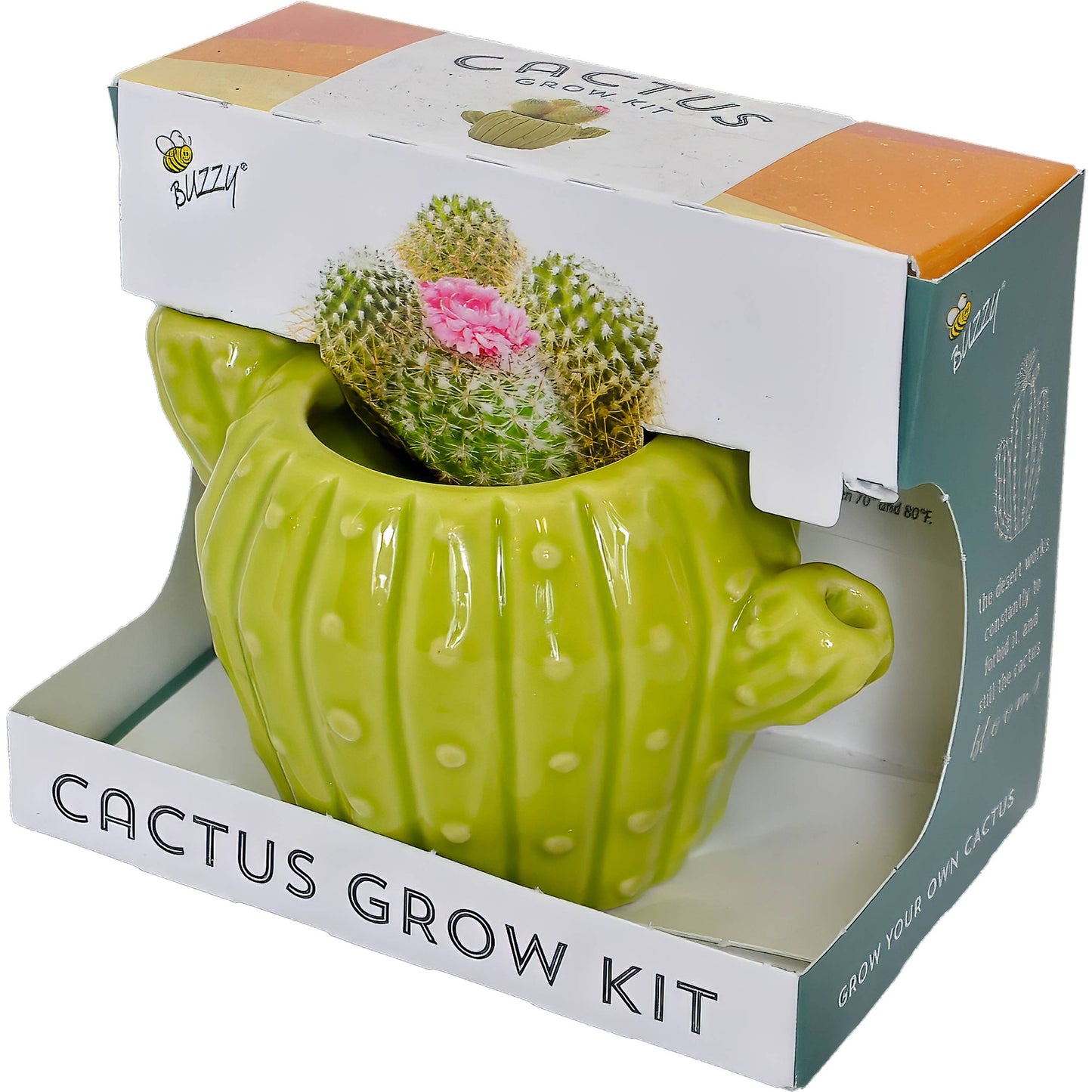 Classic Cactus Grow Kit – Terracotta Indoor Plant Gift