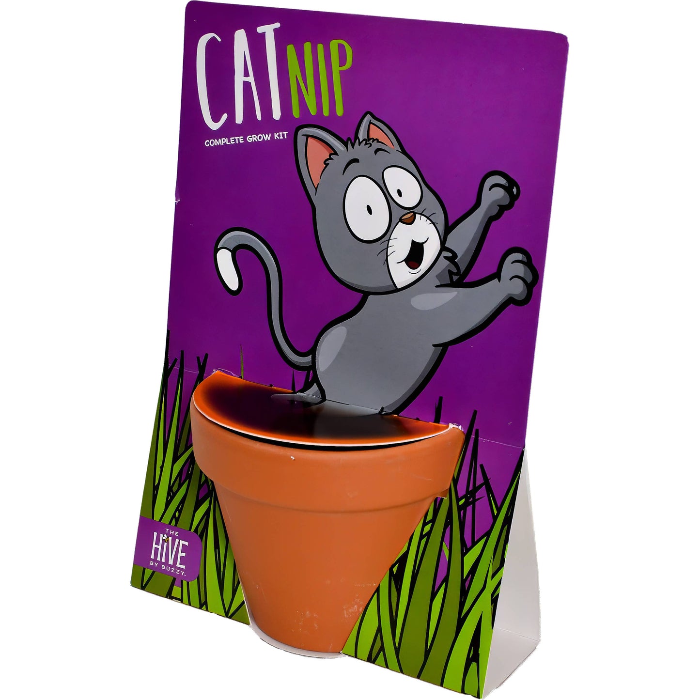 Whimsical Cat Nip Grow Kit – Indoor Plant Gift Set