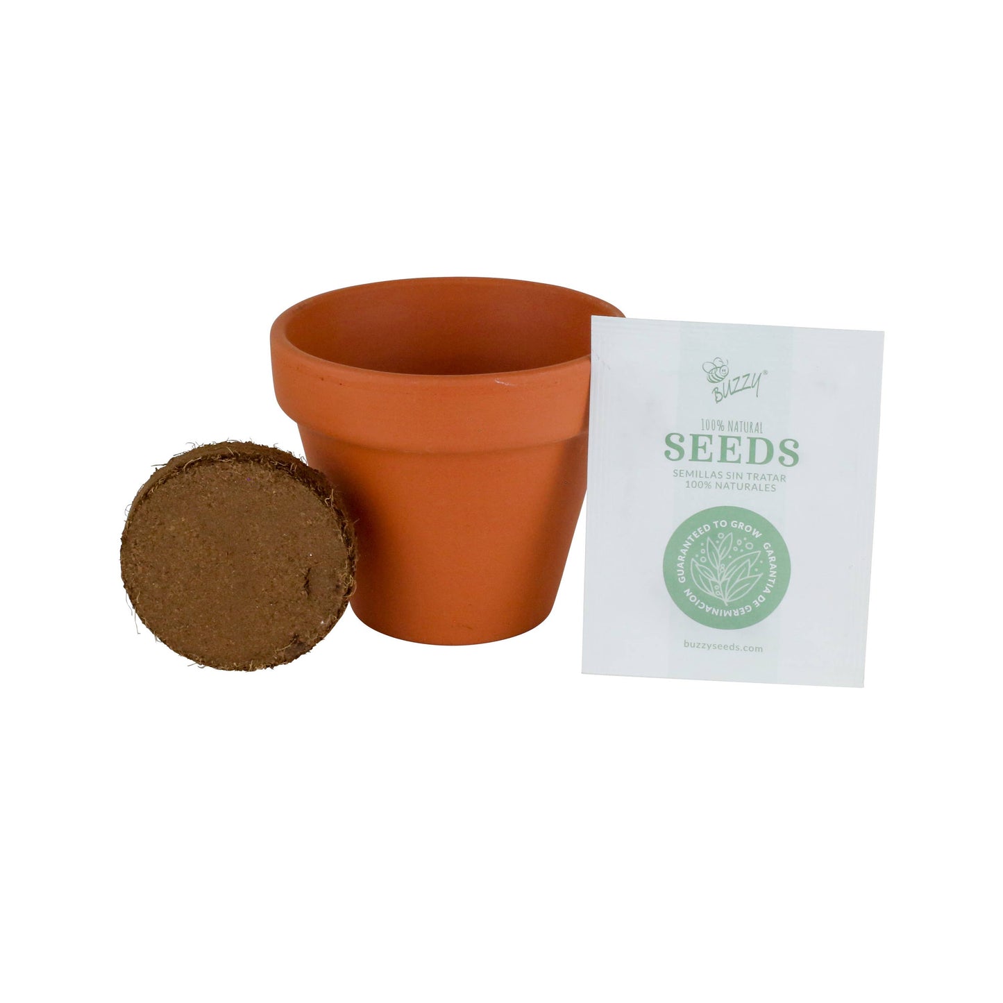 Classic 7cm Terracotta Lavender Grow Kit – Indoor Herb Gift